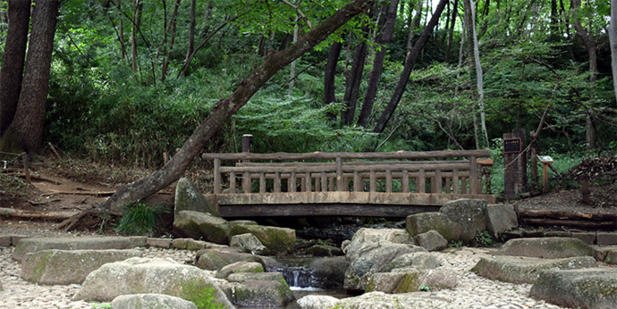 写真：公園内の橋