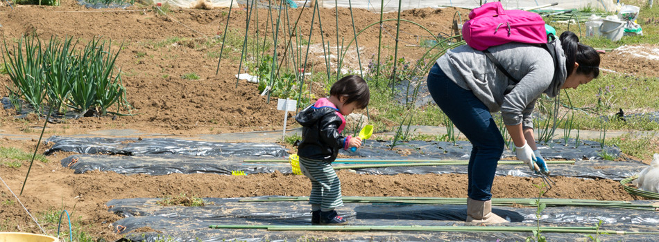 写真：農作業を楽しむ親子の様子
