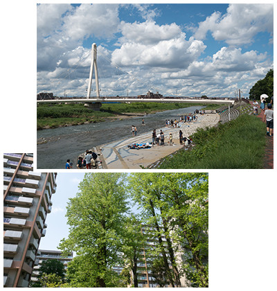 写真1：万願寺歩道橋（ふれあい橋）　写真2：マンションと並木の風景