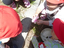 写真：園庭で遊ぶ2歳児