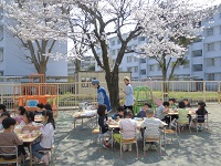 写真：桜の木の下で給食