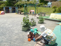 写真：3歳児クラス保育参観