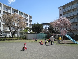 桜が咲いている保育園の庭の写真