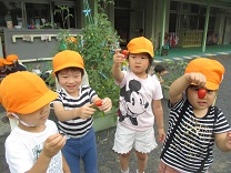 写真：子どもたちがトマトを持っている