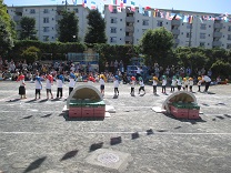 写真：運動会3歳児クラス競技