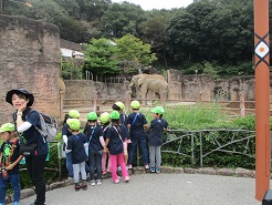 子どもたちがゾウを見ている写真