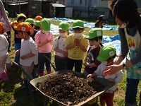4歳児ぞう組が肥料を手に取っている写真