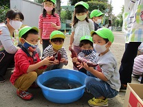 写真：3歳児こあら組イモ洗いの様子