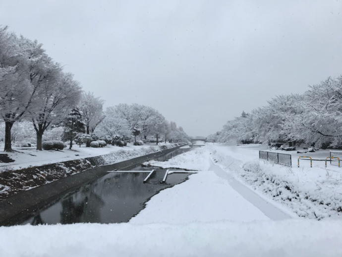 古道橋より「雪の南浅川」