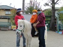 写真：4歳児きりん組の乗馬