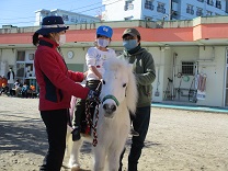 写真：5歳児らいおん組の乗馬