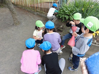 4歳児ぱんだ組と5歳児らいおん組が一緒に遊んでいる様子の写真