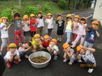 子ども達と掘ったジャガイモの写真