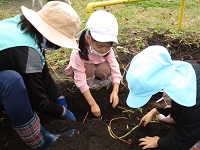 子どもたちが畑を手で掘っている写真