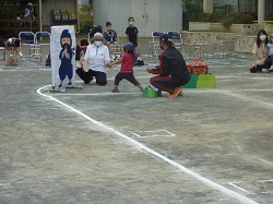 2歳児の競技の様子の写真2