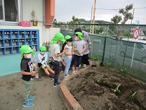 写真：苗植え　子どもが苗を手に取る