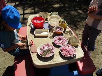 3歳児が桜で遊んでいる様子の写真