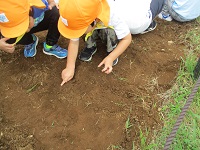 4歳児が種を指さしながら植えている写真