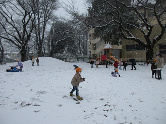 4歳児ぱんだ組雪遊びの様子の写真
