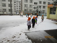 3歳児が雪が積もった園庭を歩いている写真です。