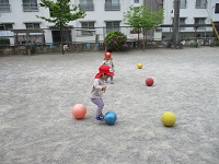 1歳児クラスが園庭でボール遊びをしている写真です。