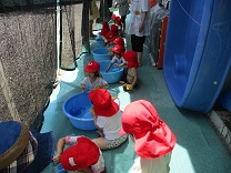 乳児クラスの子どもたちの水遊びの写真