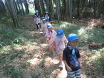 竹林の中を歩く子供の写真