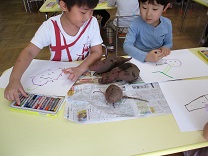 お芋の絵を描く子供の写真1