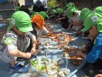 子どもたちが野菜の皮をちぎっている写真