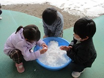 タライの雪を触る子どもの写真