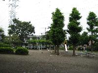 沢田公園の写真2