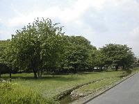 大木島自然公園の写真3