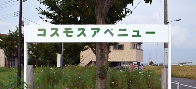 写真：コスモスアベニューの看板