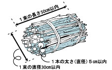 イラスト：剪定枝のまとめ方のイラスト、一束の長さ50cm以内、一束の直径30cm以内、一本の太さ（直径）5cm以内