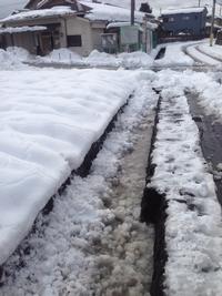 写真：水路や河川の雪