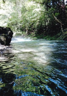 写真：最優秀賞作品