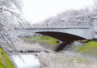 写真：佳作作品8