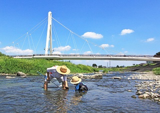 写真：夏の思い出