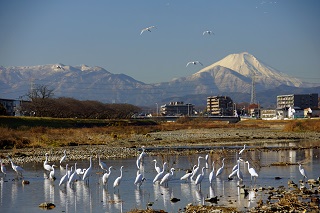 写真：ひと休み