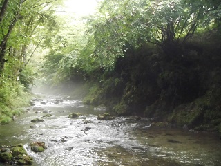 写真：自然の風景