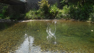 写真：水はね