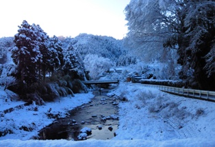 写真：雪の日そっと旅立ち