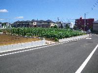 調和のとれた住宅地と農地の写真