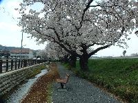 写真：平山親水公園