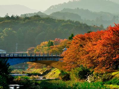 写真：秋の午後