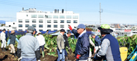 アイコン：日野市の都市農業