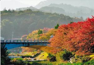 写真：秋の午後