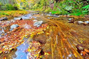 写真：秋の北浅川
