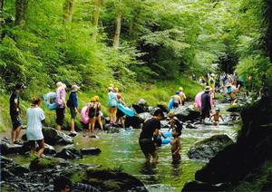 写真：渓流で遊ぶ