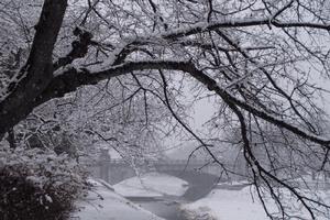 写真：雪の南浅川橋